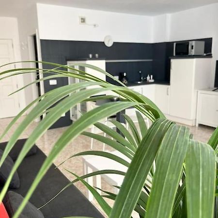 Heyhome Lynn 306 Los Cristianos  Eksteriør billede