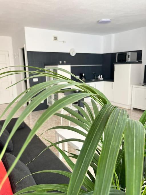 Heyhome Lynn 306 Los Cristianos  Eksteriør billede